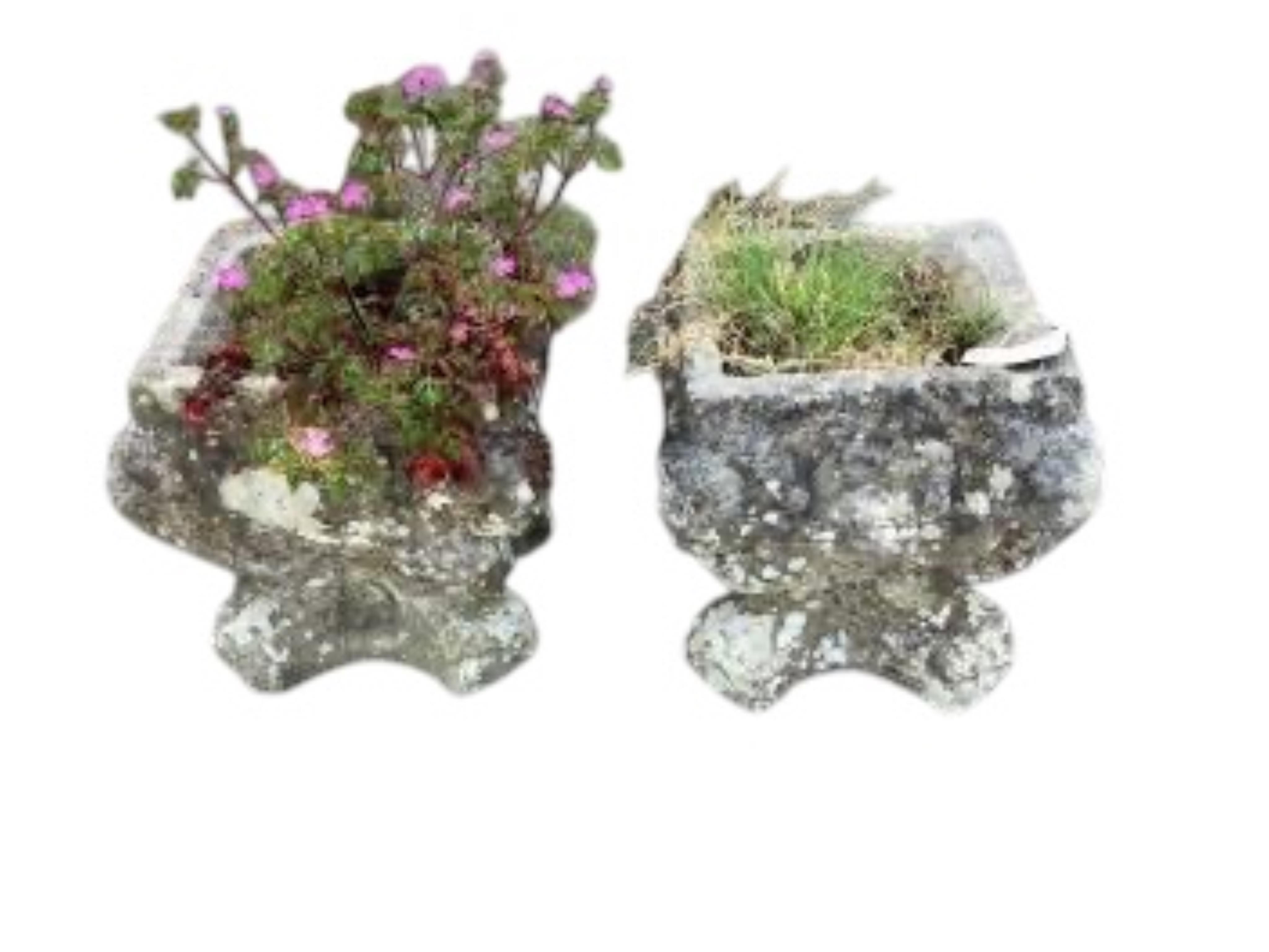 A pair of small reconstituted stone garden urns, moulded with lion masks, width 30cm, height 33cm